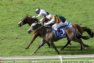 Yourdeel (NZ) heading an all Karaka Quinella in the G1 Sistema Stakes at Ellerslie on Saturday. Photo Cred: Trish Dunell